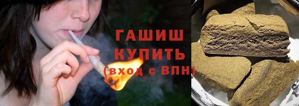 прущие грибы Каменногорск