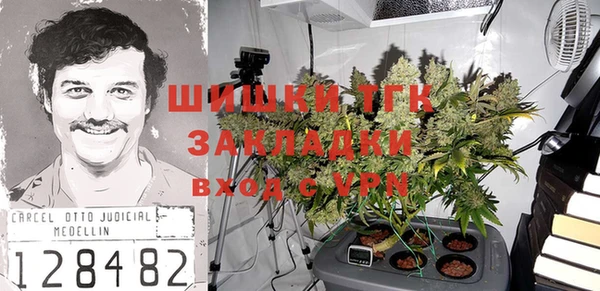 ГАЛЛЮЦИНОГЕННЫЕ ГРИБЫ Каменка