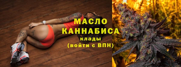 прущие грибы Каменногорск
