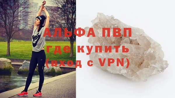 ГАЛЛЮЦИНОГЕННЫЕ ГРИБЫ Каменка