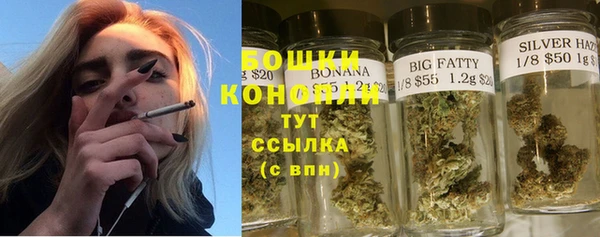 ГАЛЛЮЦИНОГЕННЫЕ ГРИБЫ Каменка