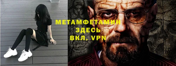 прущие грибы Каменногорск