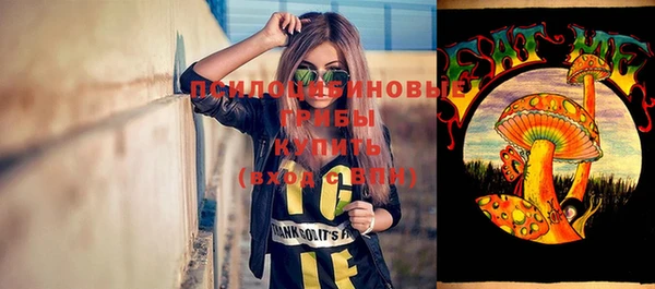 ГАЛЛЮЦИНОГЕННЫЕ ГРИБЫ Каменка