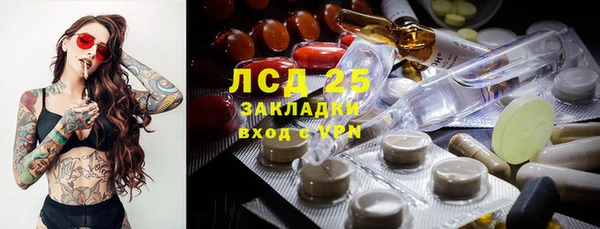 ГАЛЛЮЦИНОГЕННЫЕ ГРИБЫ Каменка