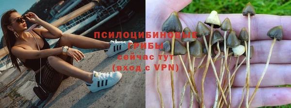 ГАЛЛЮЦИНОГЕННЫЕ ГРИБЫ Каменка