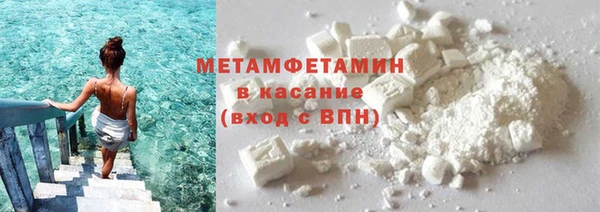 прущие грибы Каменногорск