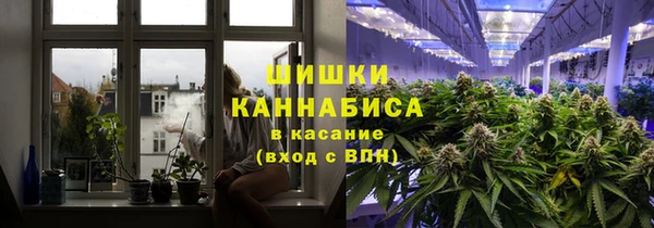 ГАЛЛЮЦИНОГЕННЫЕ ГРИБЫ Каменка