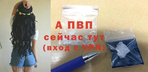 ГАЛЛЮЦИНОГЕННЫЕ ГРИБЫ Каменка