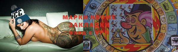 прущие грибы Каменногорск