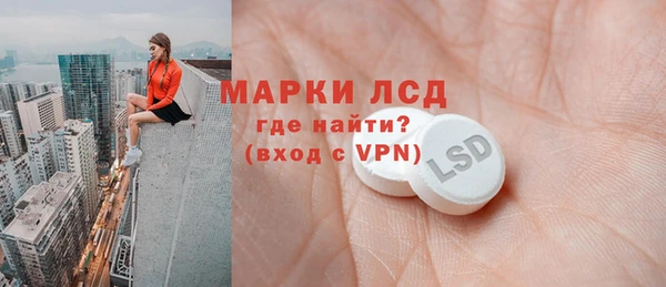 прущие грибы Каменногорск