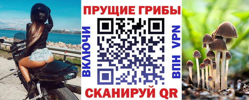 Купить где  Карпинск  Псилоцибиновые грибы мухоморы 